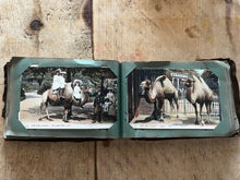 Load image into Gallery viewer, Antique souvenir collection of 99 London landmark postcards, dating 1907-1908