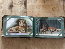 Load image into Gallery viewer, Antique souvenir collection of 99 London landmark postcards, dating 1907-1908