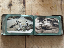Load image into Gallery viewer, Antique souvenir collection of 99 London landmark postcards, dating 1907-1908