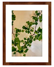 Load image into Gallery viewer, Hawthorn 3-piece framed prints