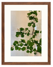 Load image into Gallery viewer, Hawthorn 3-piece framed prints