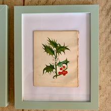 Load image into Gallery viewer, Set of 6 Beautiful Antique Botanical Prints, dating 1855