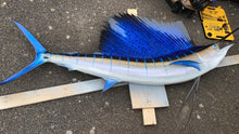 Load image into Gallery viewer, Sailfish Taxidermy