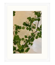 Load image into Gallery viewer, Hawthorn 3-piece framed prints