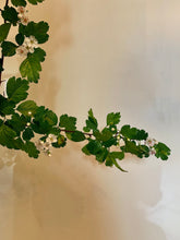 Load image into Gallery viewer, Hawthorn 3-piece framed prints