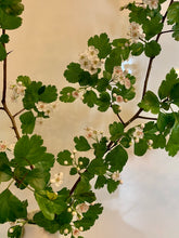 Load image into Gallery viewer, Hawthorn 3-piece framed prints