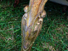 Load image into Gallery viewer, A pair of antique gold leaf French wall-mounted console tables