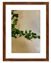 Load image into Gallery viewer, Hawthorn 3-piece framed prints