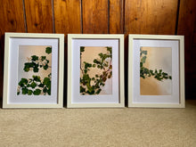 Load image into Gallery viewer, Hawthorn 3-piece framed prints