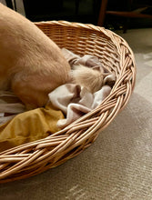 Load image into Gallery viewer, Large Wicker Dog Bed