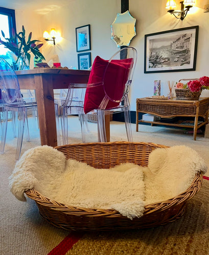 Large Wicker Dog Bed