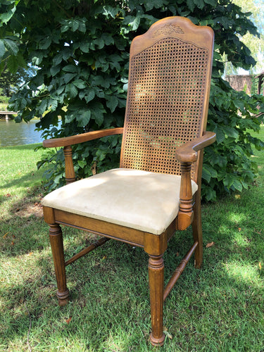 Old Cane Back Carver Armchair