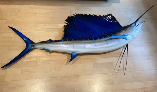 Sailfish Taxidermy